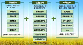 金友米業(yè)會員項(xiàng)目 打造國內(nèi)領(lǐng)先的生態(tài)農(nóng)產(chǎn)品服務(wù)與信息咨詢平臺